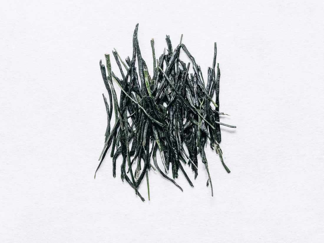 Tea plant