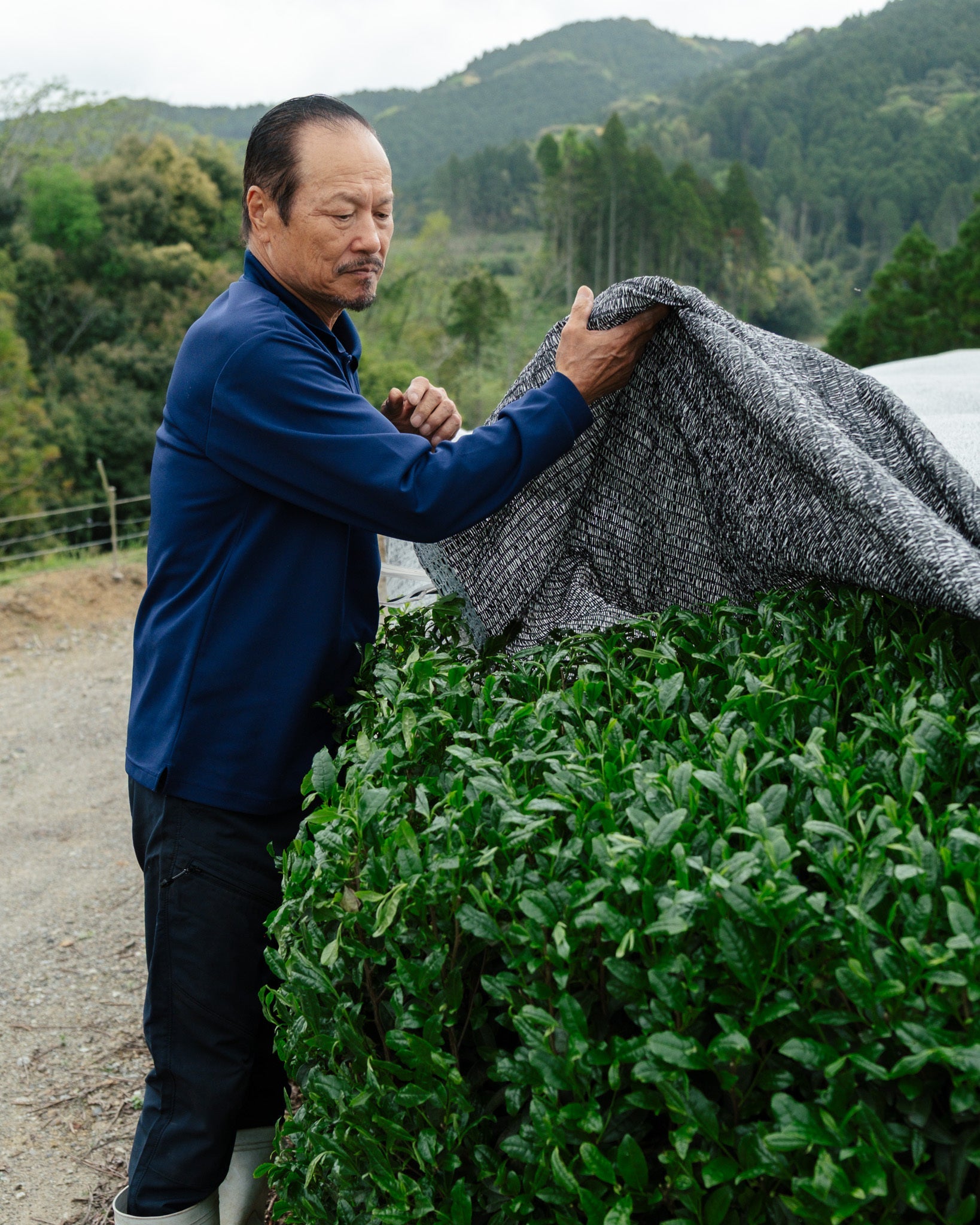 Shuichiro Sakamoto in tencha field