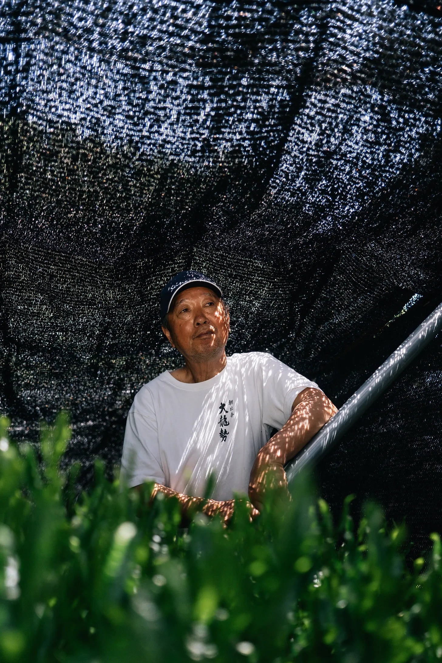 The Great Matcha Shortage Interlude: one way we are coping with the shortage.