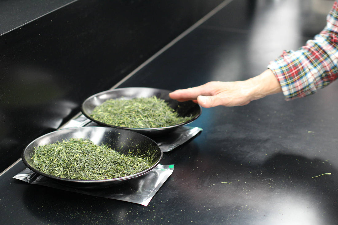 How To Buy Japanese Green Tea Like A Professional