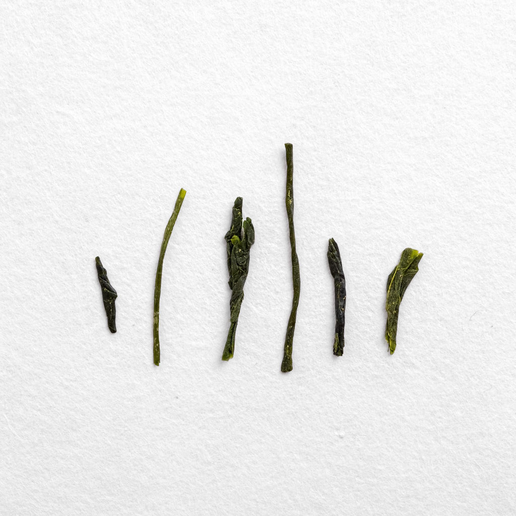 Fall Shincha (pre-order)
