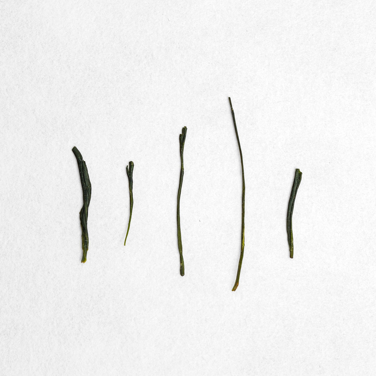 Mobata Yabukita Hand Picked Sencha