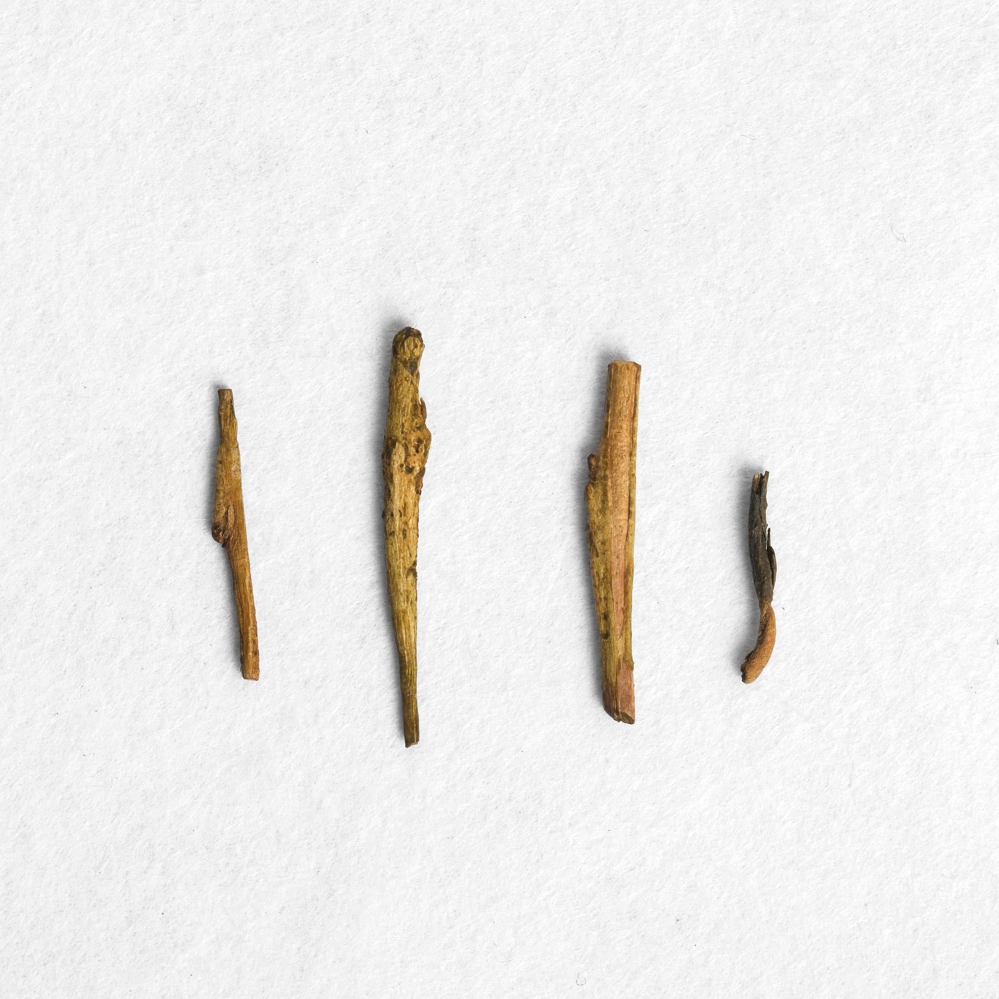 House Roasted Shizuoka Houjicha