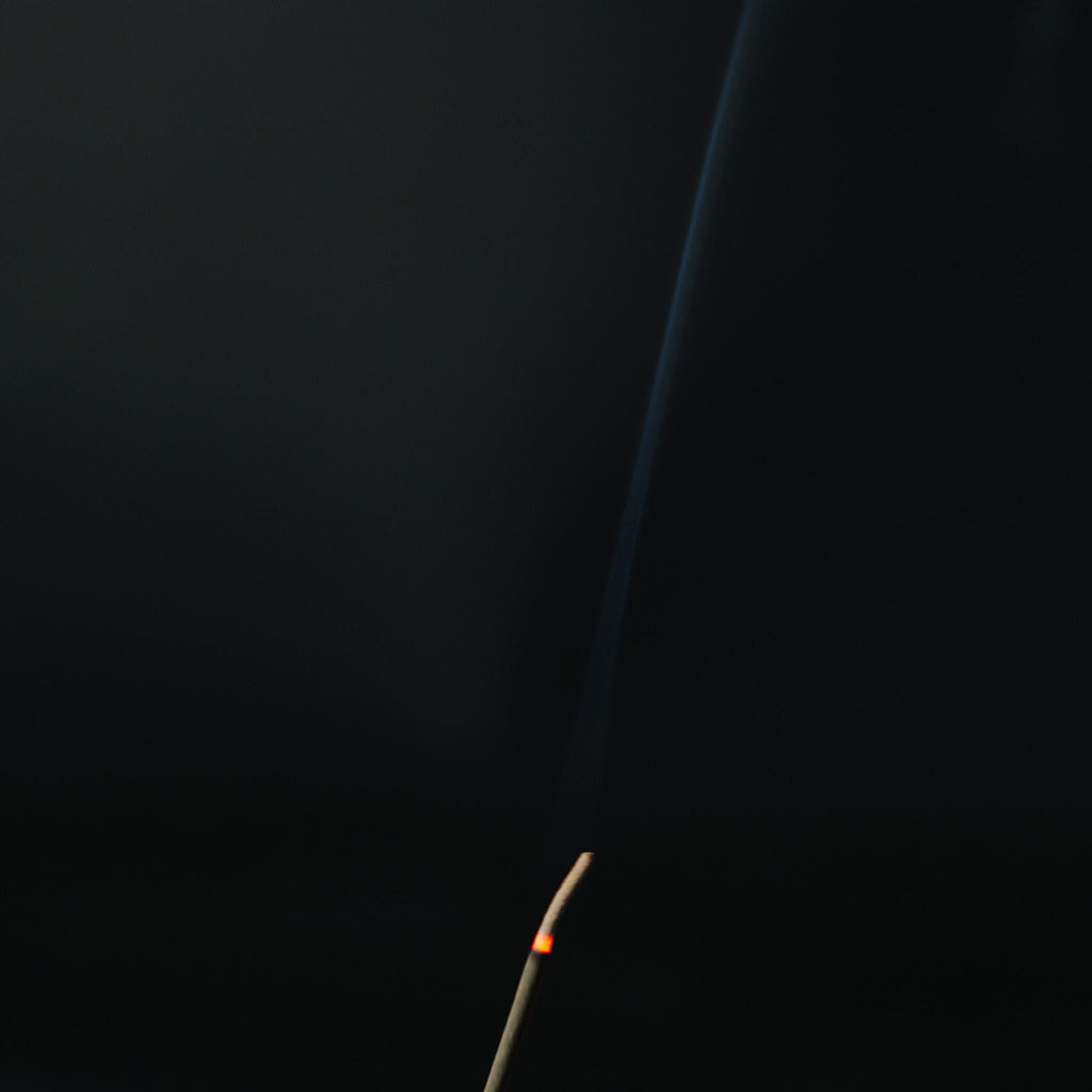 Beyond Citrus Stick Incense