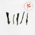 Minamata Tsuyuhikari Kabuse Shincha (Pre-Order)