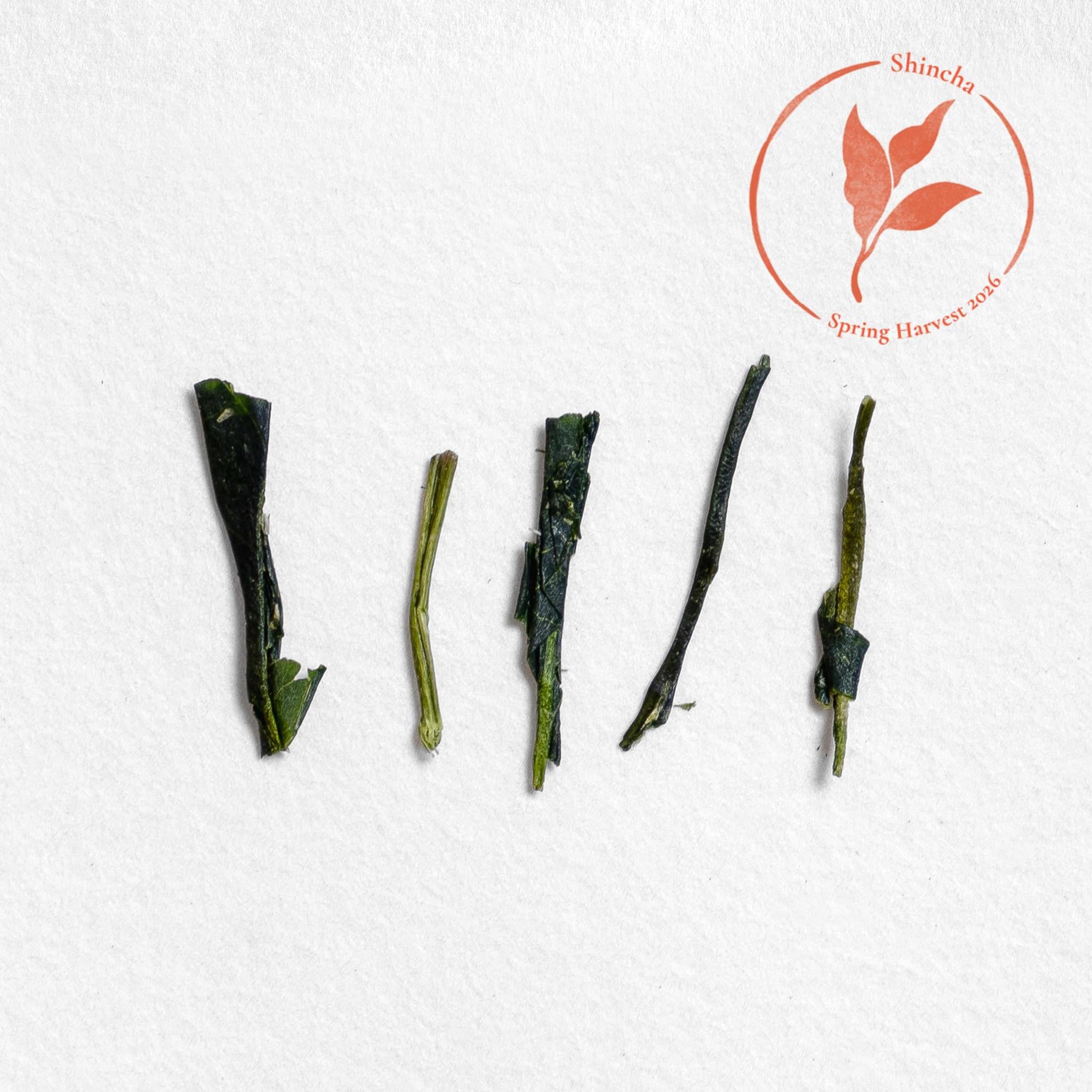 Minamata Tsuyuhikari Kabuse Shincha (Pre-Order)