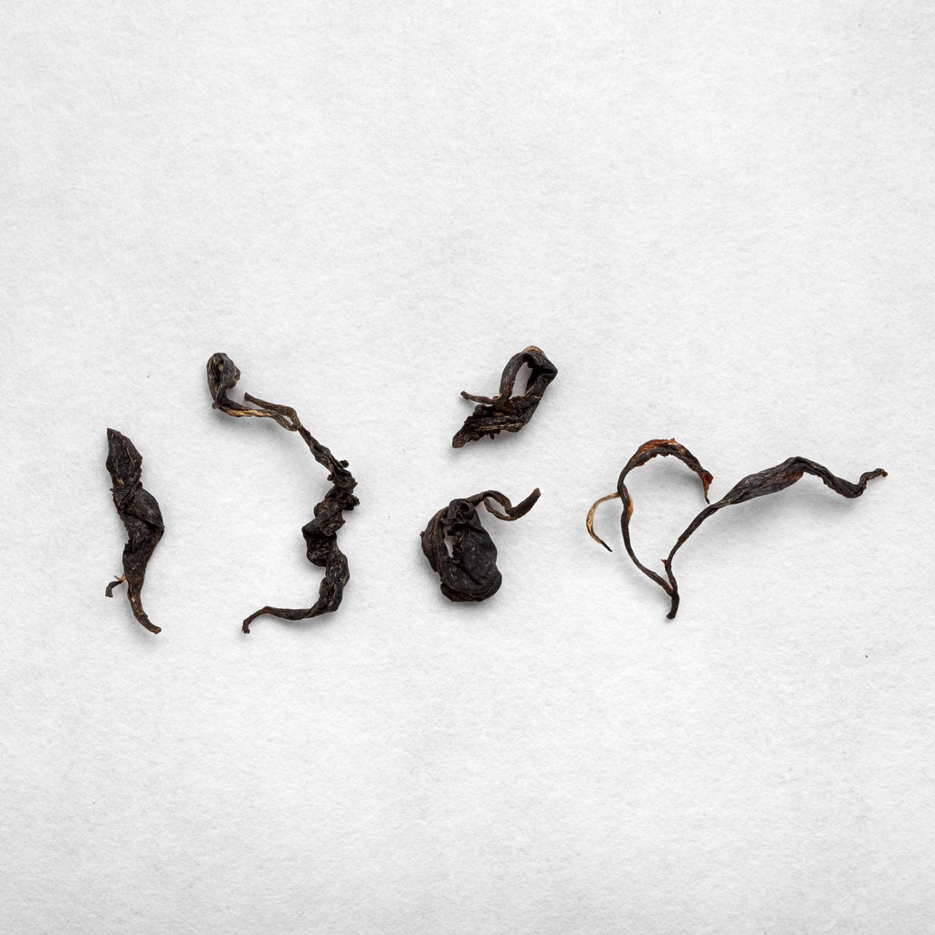 Tsuguto Hattori Hand Picked Black Tea