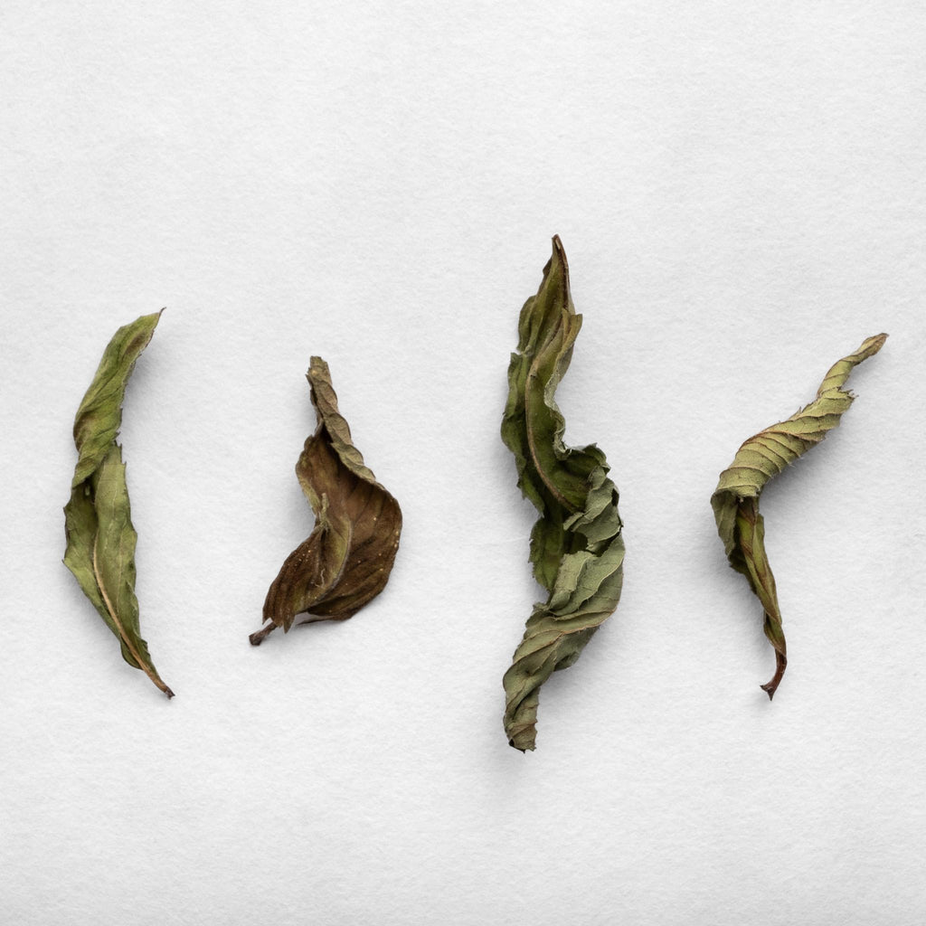 Horike Hakka Mint