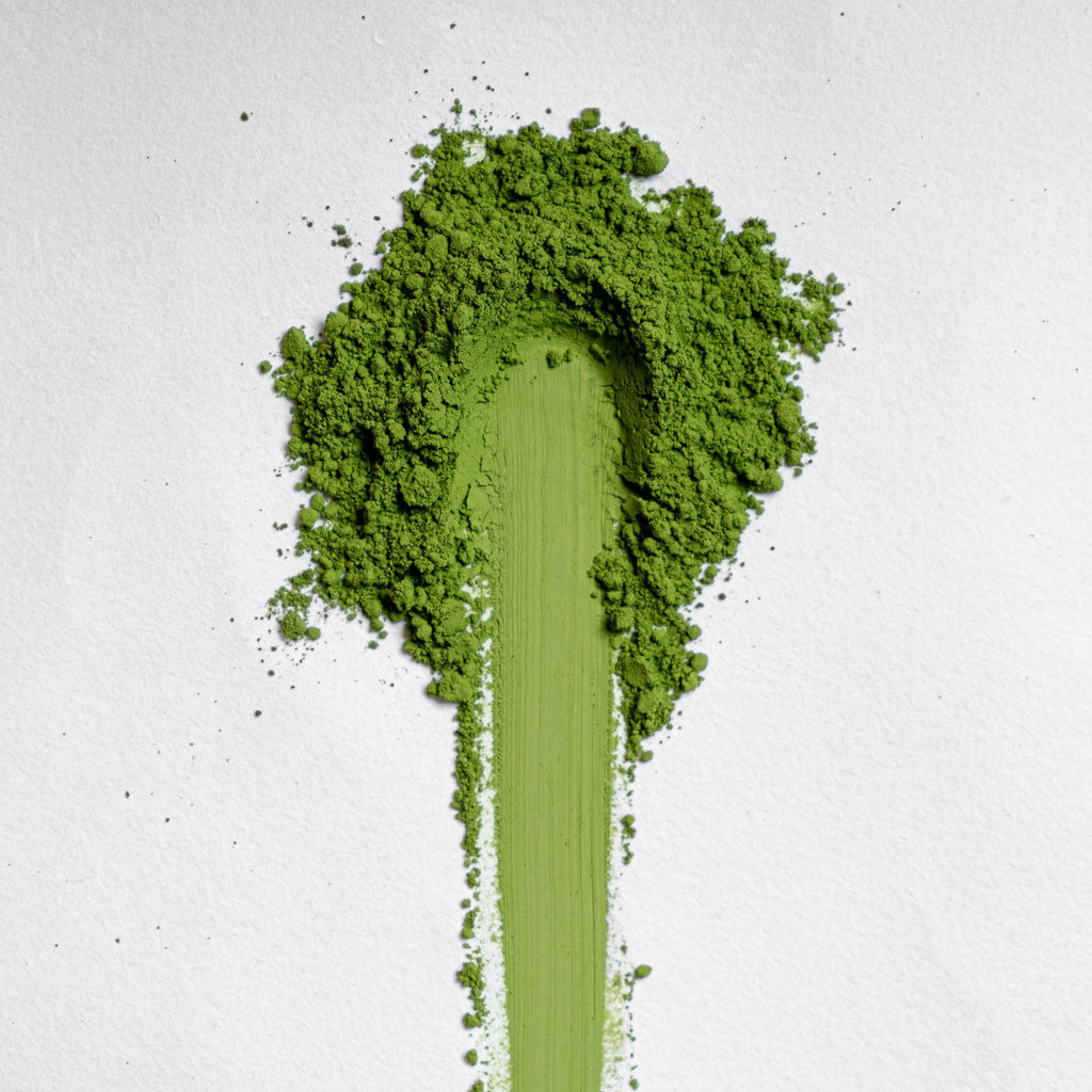 Shirakawa Asahi Matcha