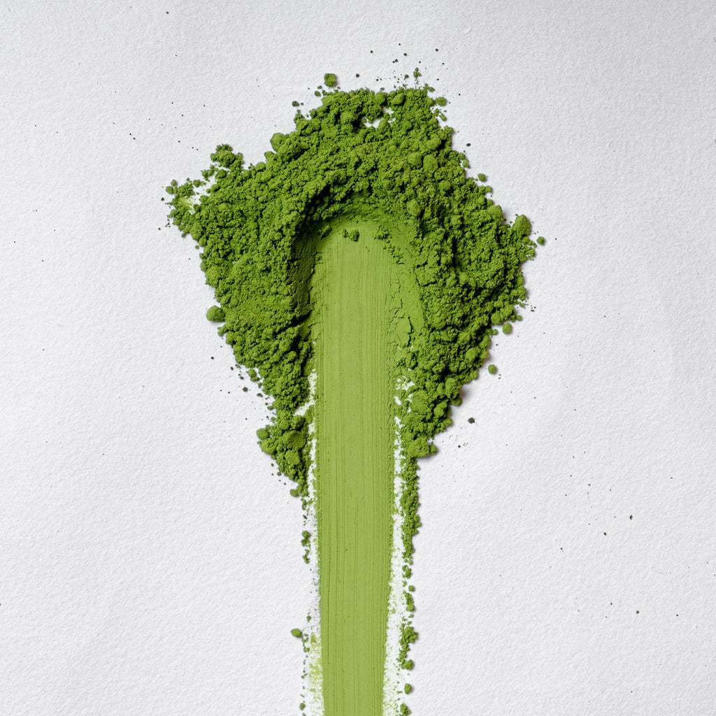 Shirakawa Gokou Matcha