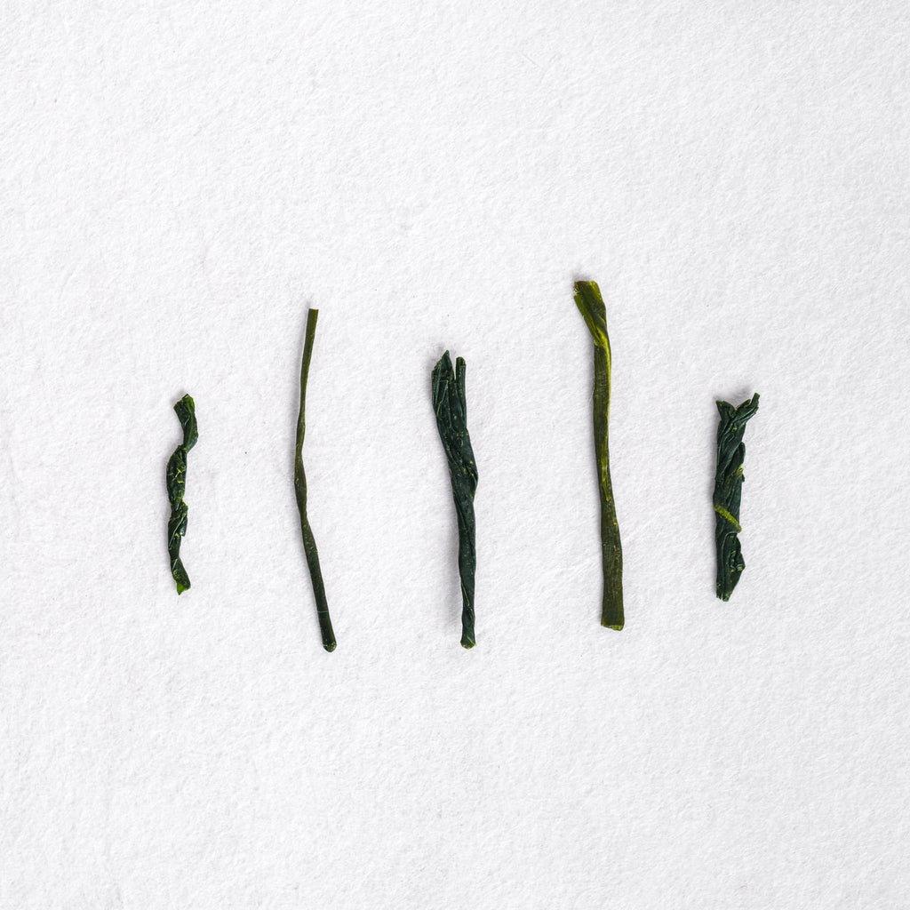 Shizu 7132 Sencha