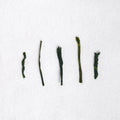 Shizu 7132 Sencha