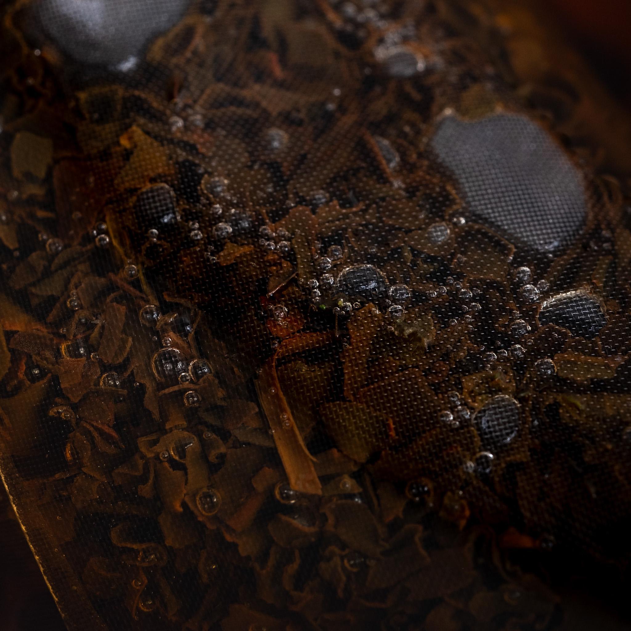 Kumamoto Blended Wakoucha Tea Bags | Pouch