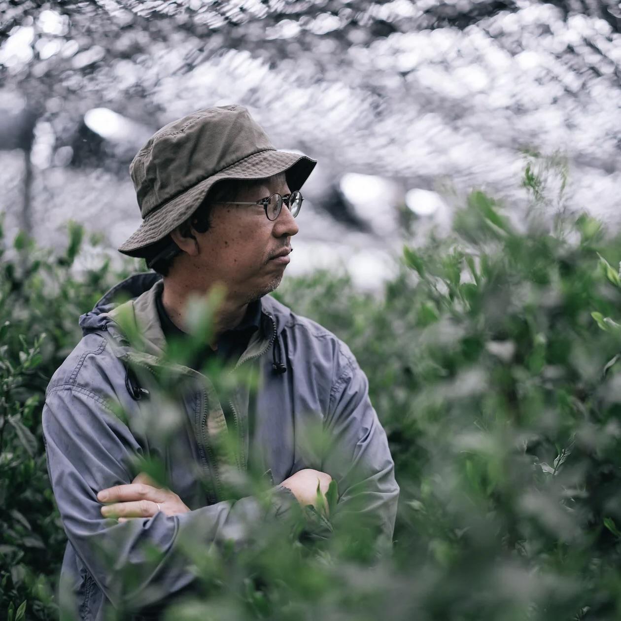 Gokasho Blended Matcha