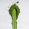 Kohata Matcha