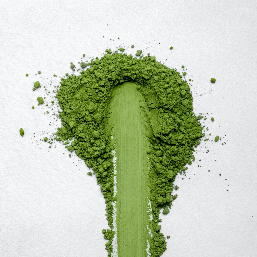 Shuichiro Sakamoto Organic Saemidori Matcha