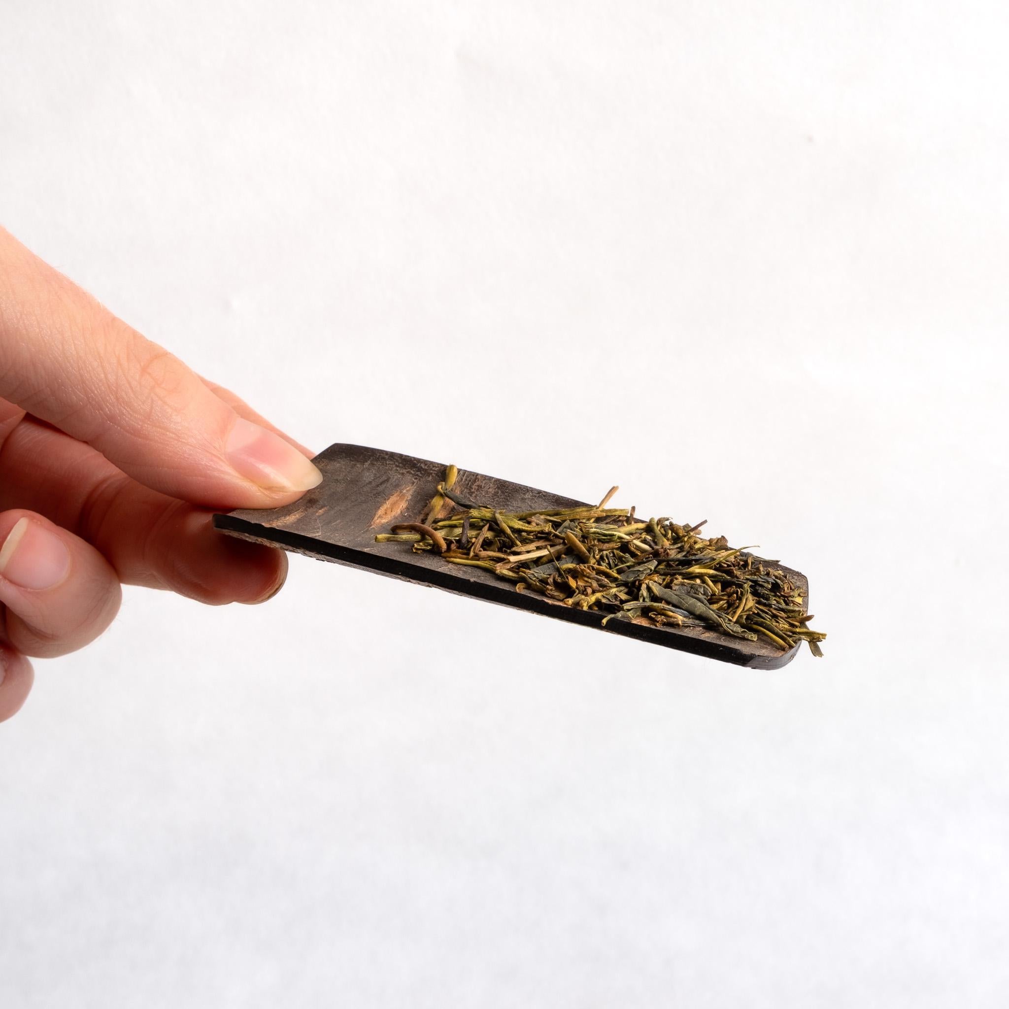 Fujiki Denshiro Cherry Bark Tea Scoop