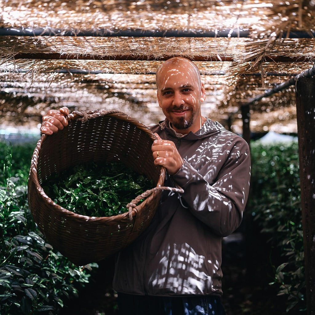 Kettl × Té Company: In Conversation — Tea Sourcing and Founding a Business