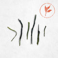 Yabukita Kabuse Shincha (Pre-Order)