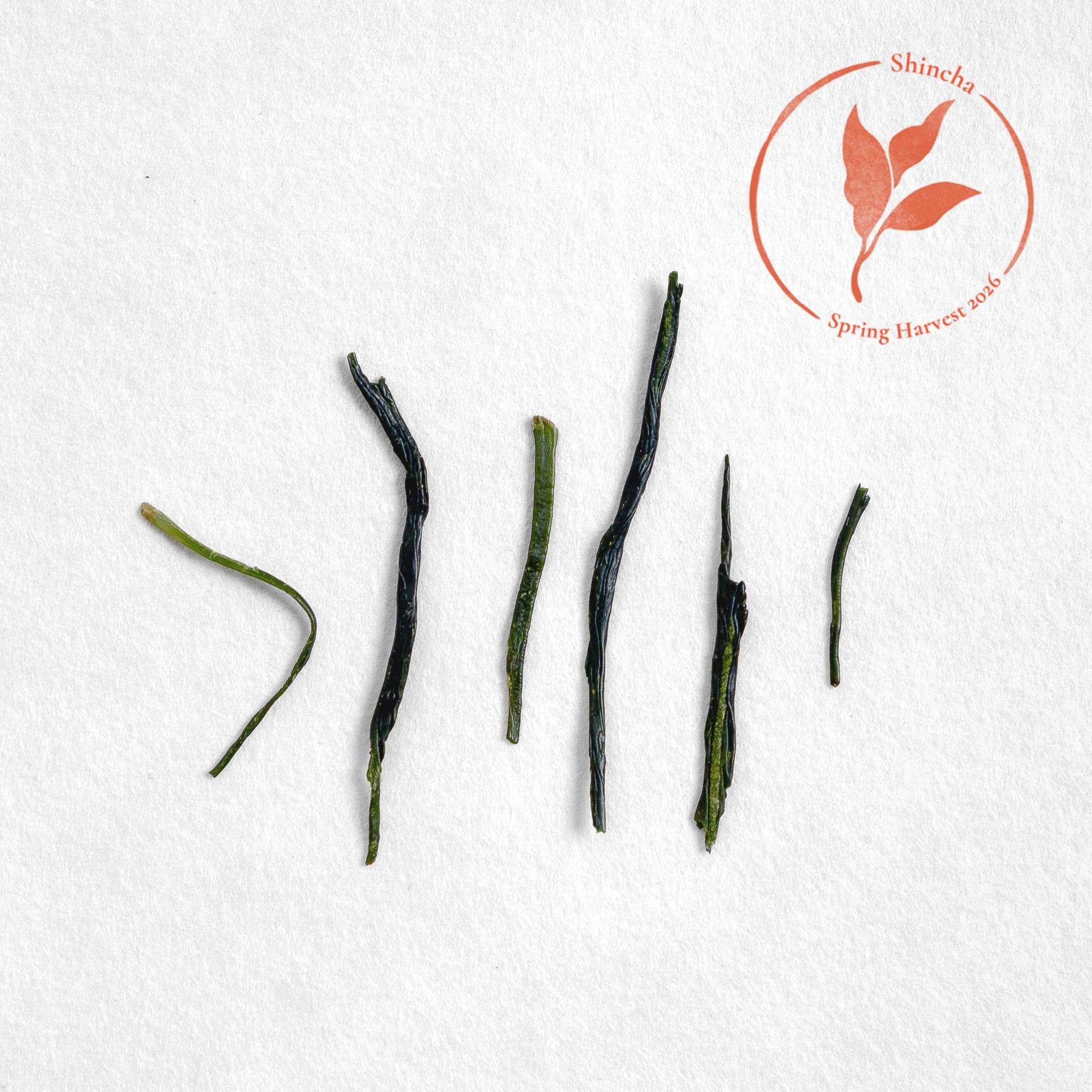 Shizu 7132 Sencha