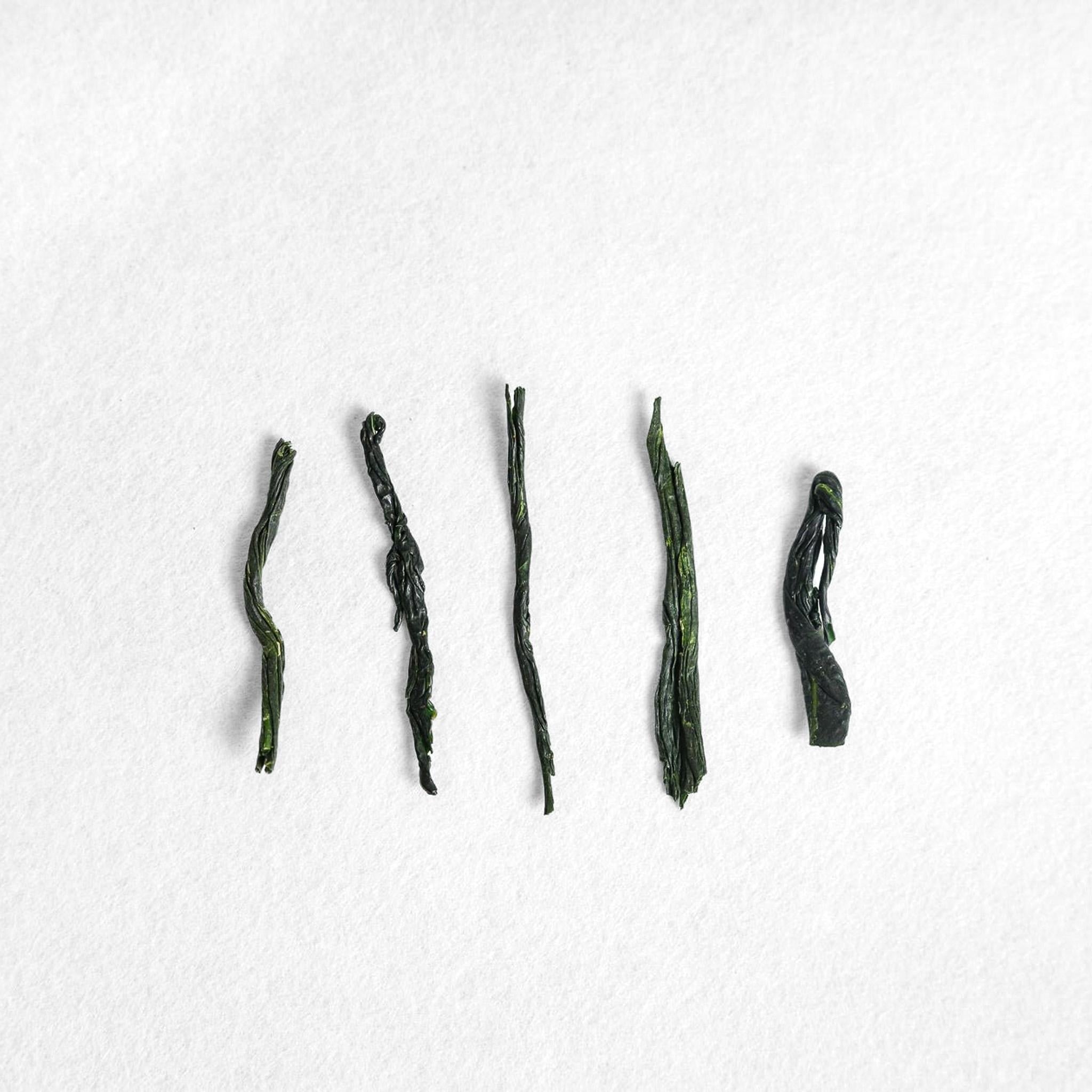 Shinki Yamashita Kyomidori Gyokuro