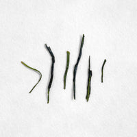 Yabukita Kabuse Sencha