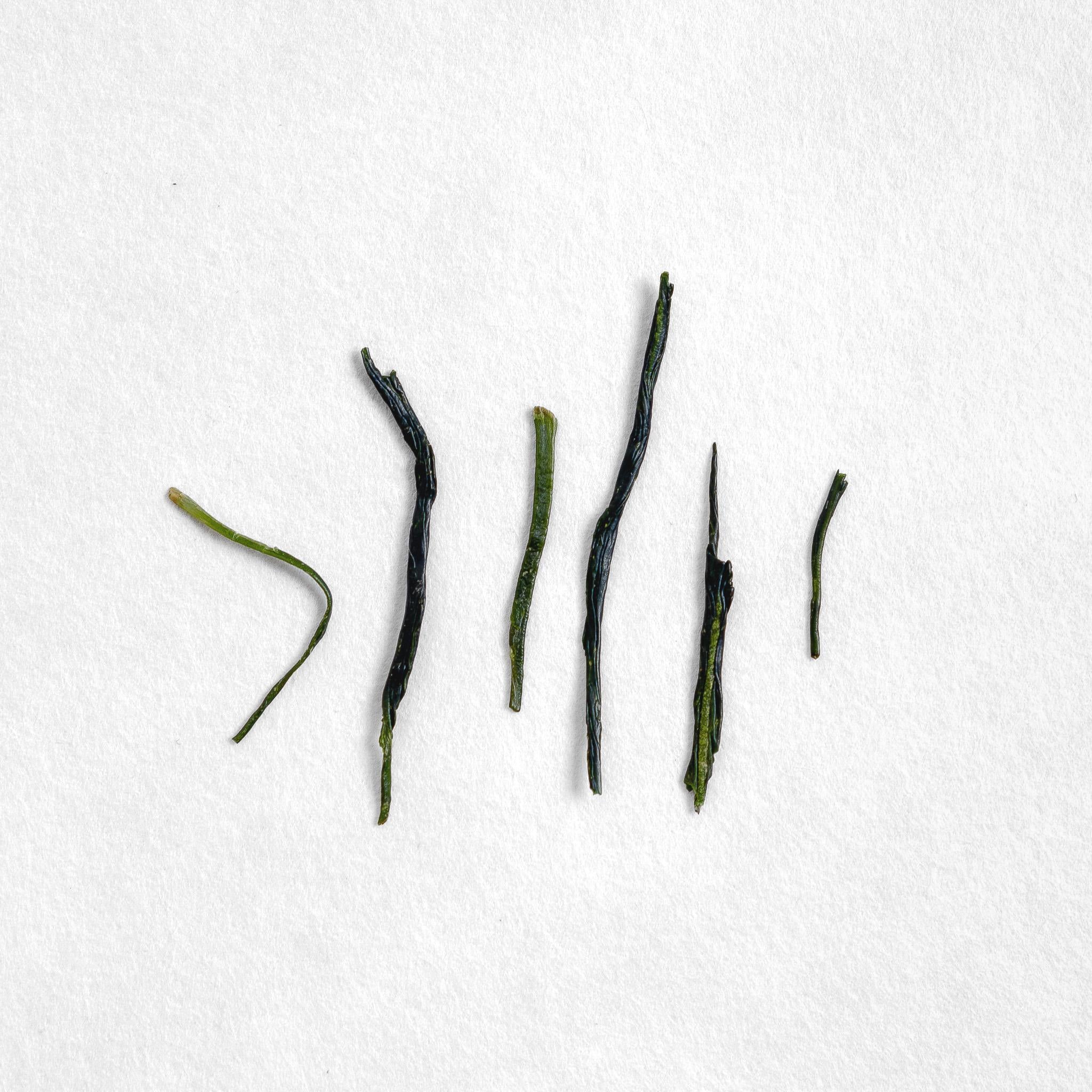 Yabukita Kabuse Sencha
