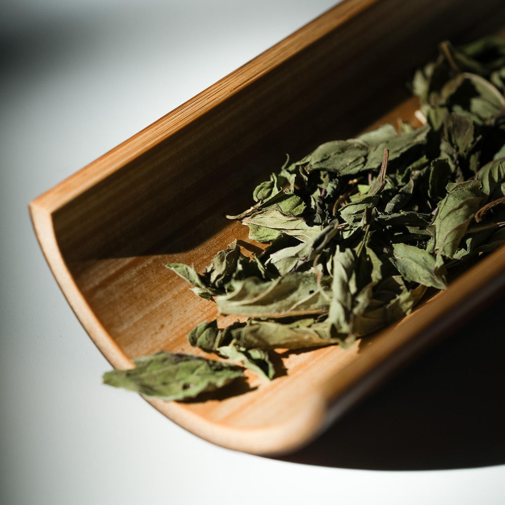 Susutake Chasoku (N) - Toru Hatsuta