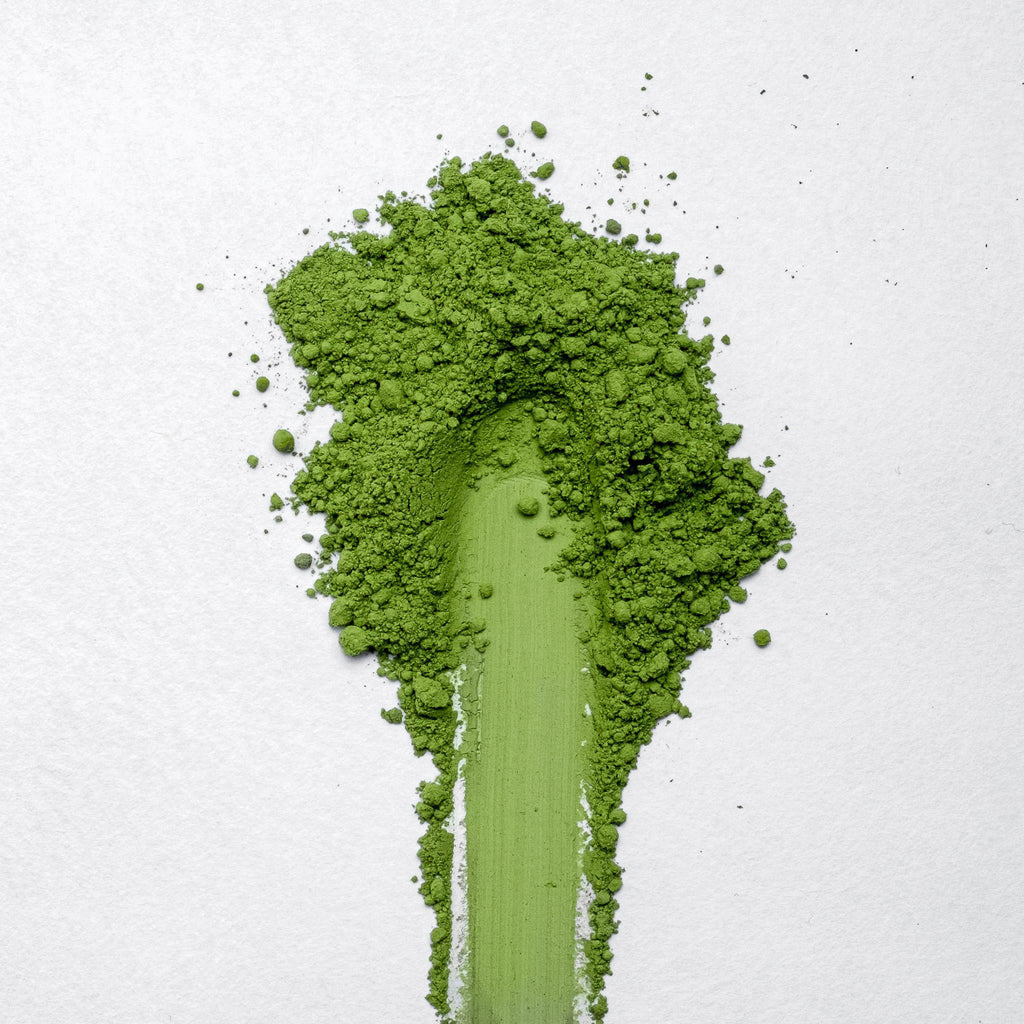 Shuichiro Sakamoto Organic Seimei Matcha