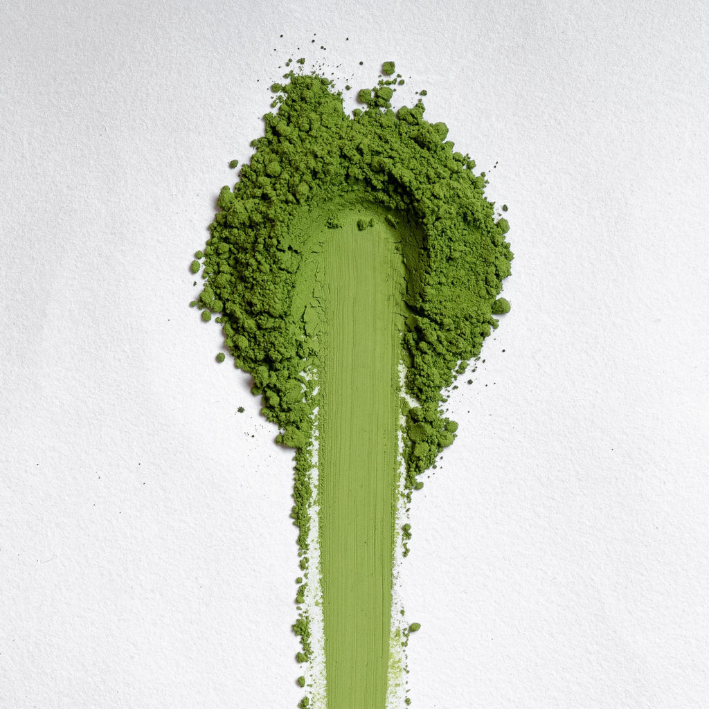 Shirakawa Samidori Matcha