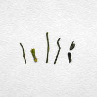 Chiran Sencha