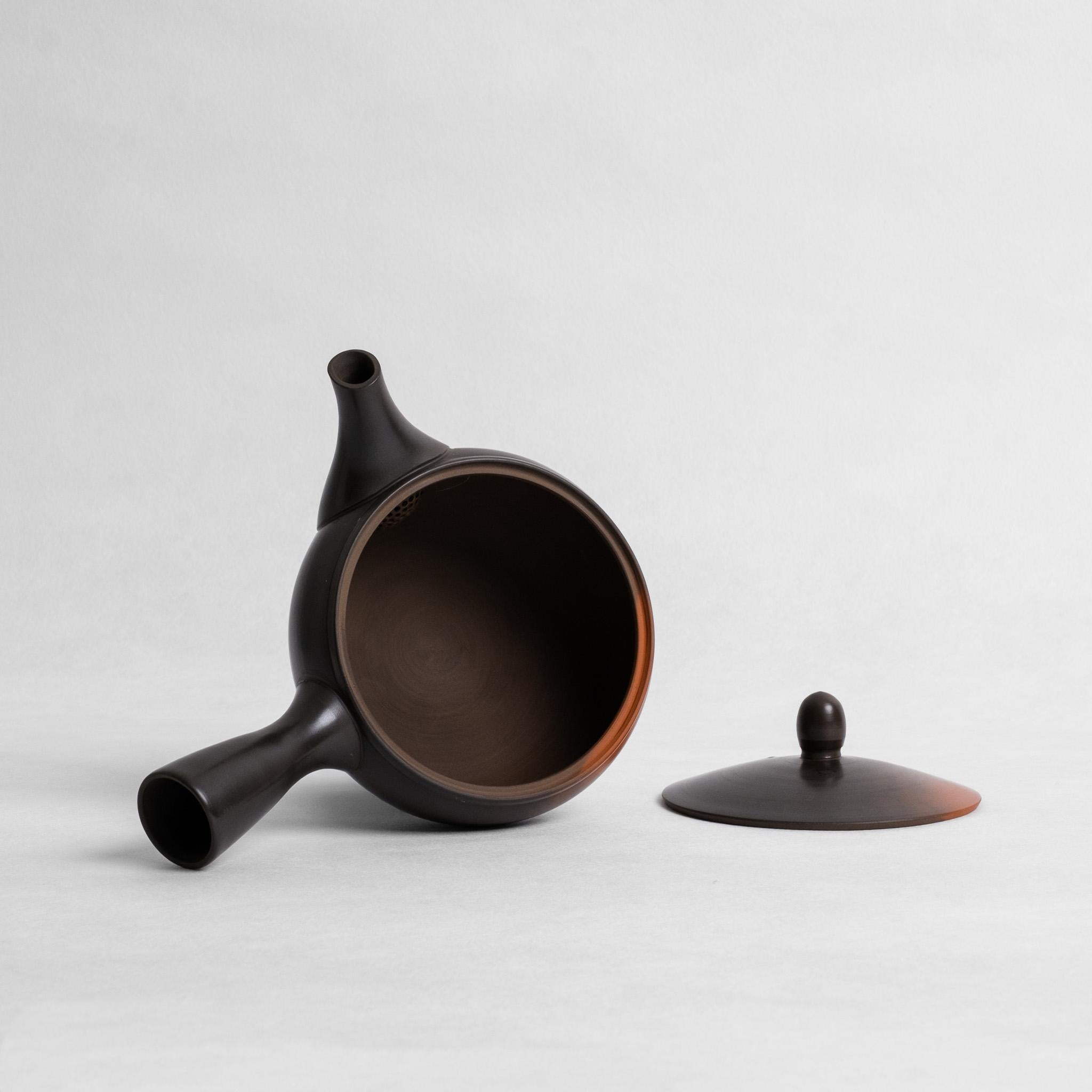 Iwase Kouji Burnished Kyusu