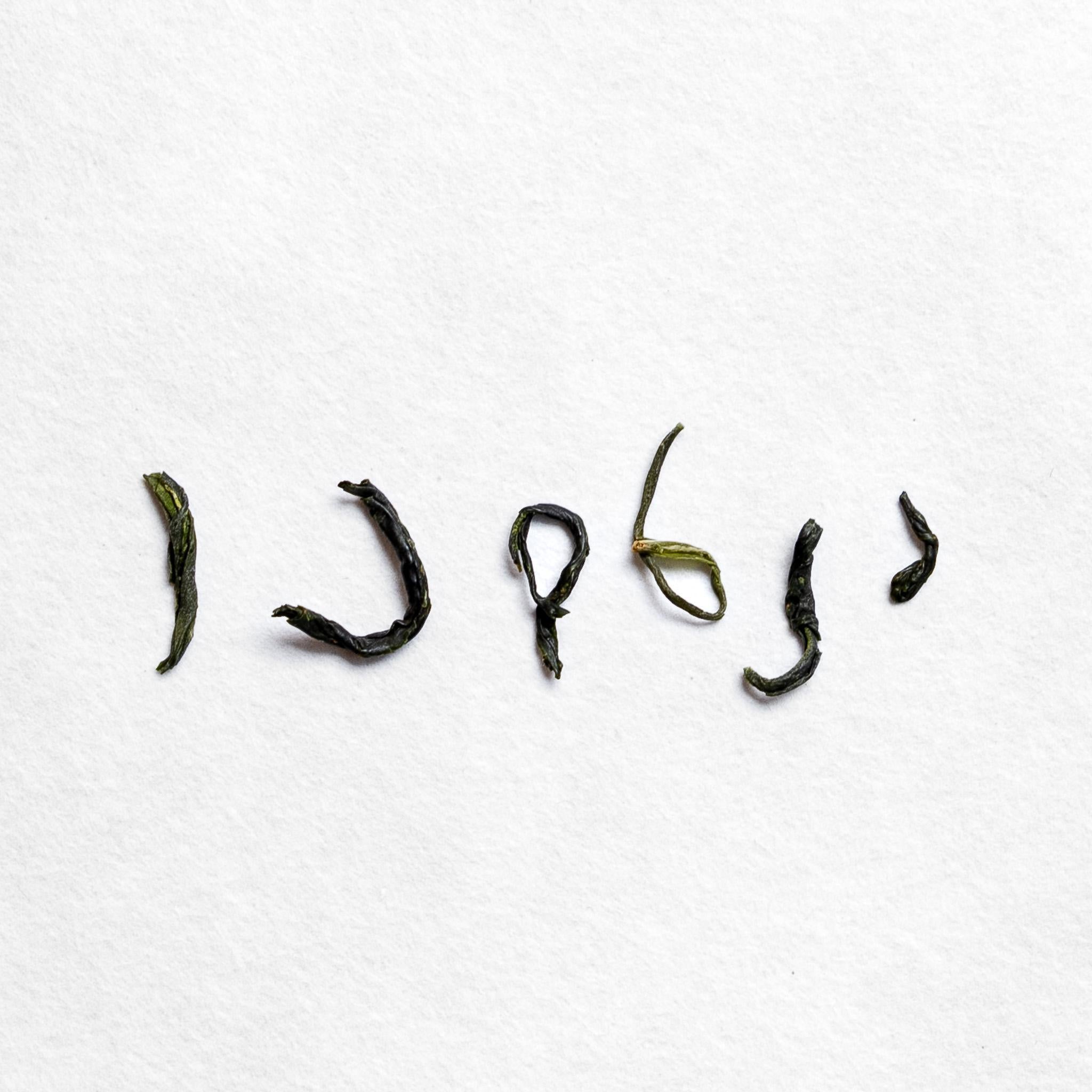 Miyazaki Tokujou Kamairicha