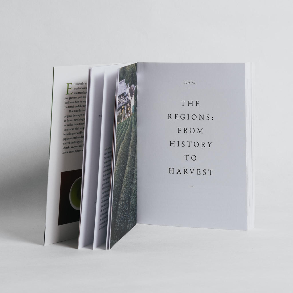 Stories of Japanese tea: The regions, the growers, and the craft