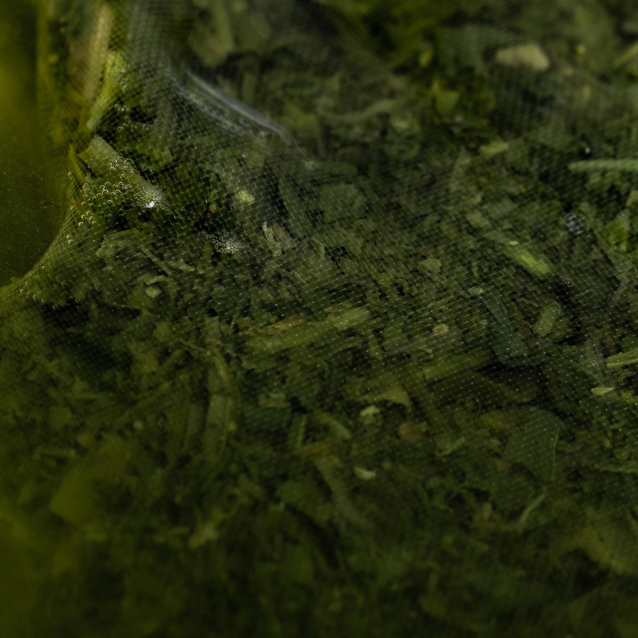 Sencha Jou Tea Bags | Pouch