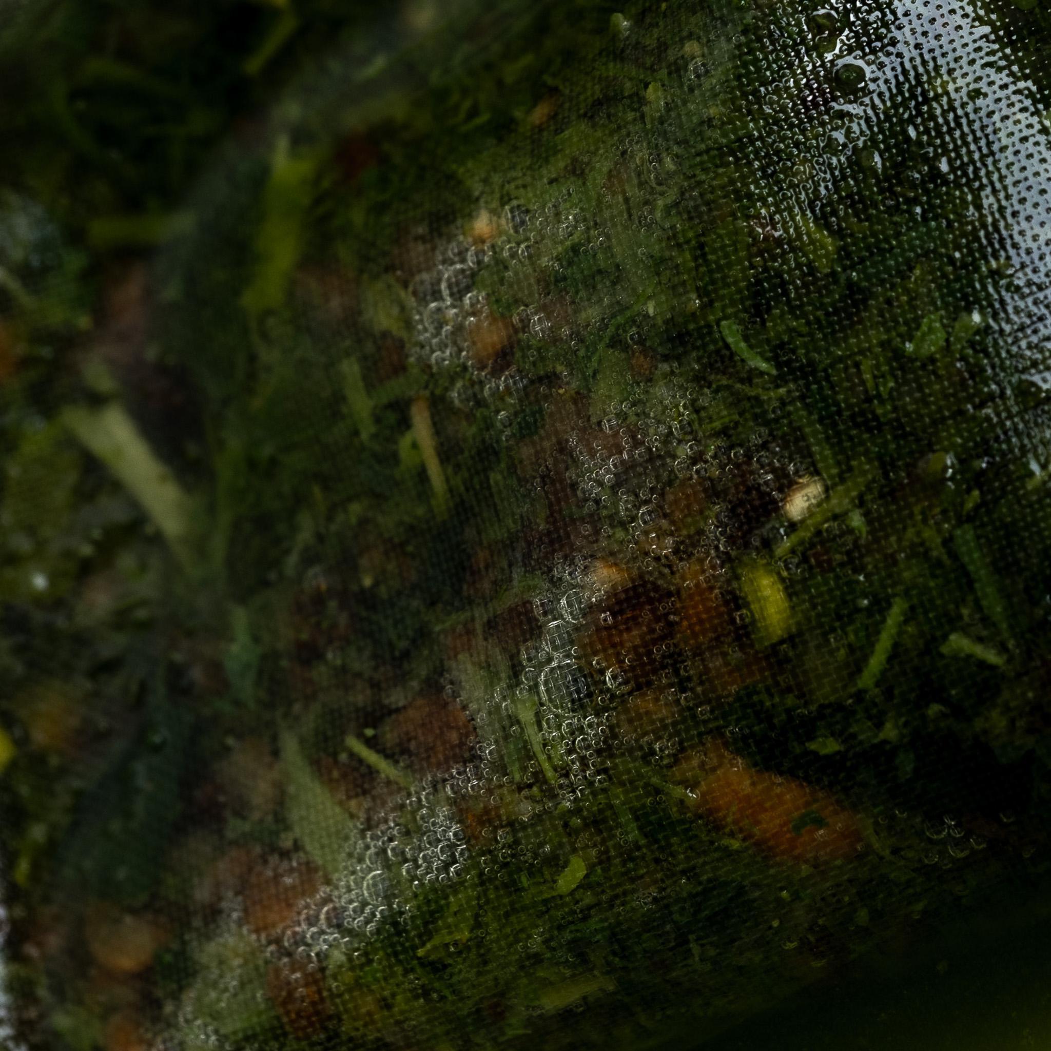 Genmaimatcha Tea Bags | Pouch