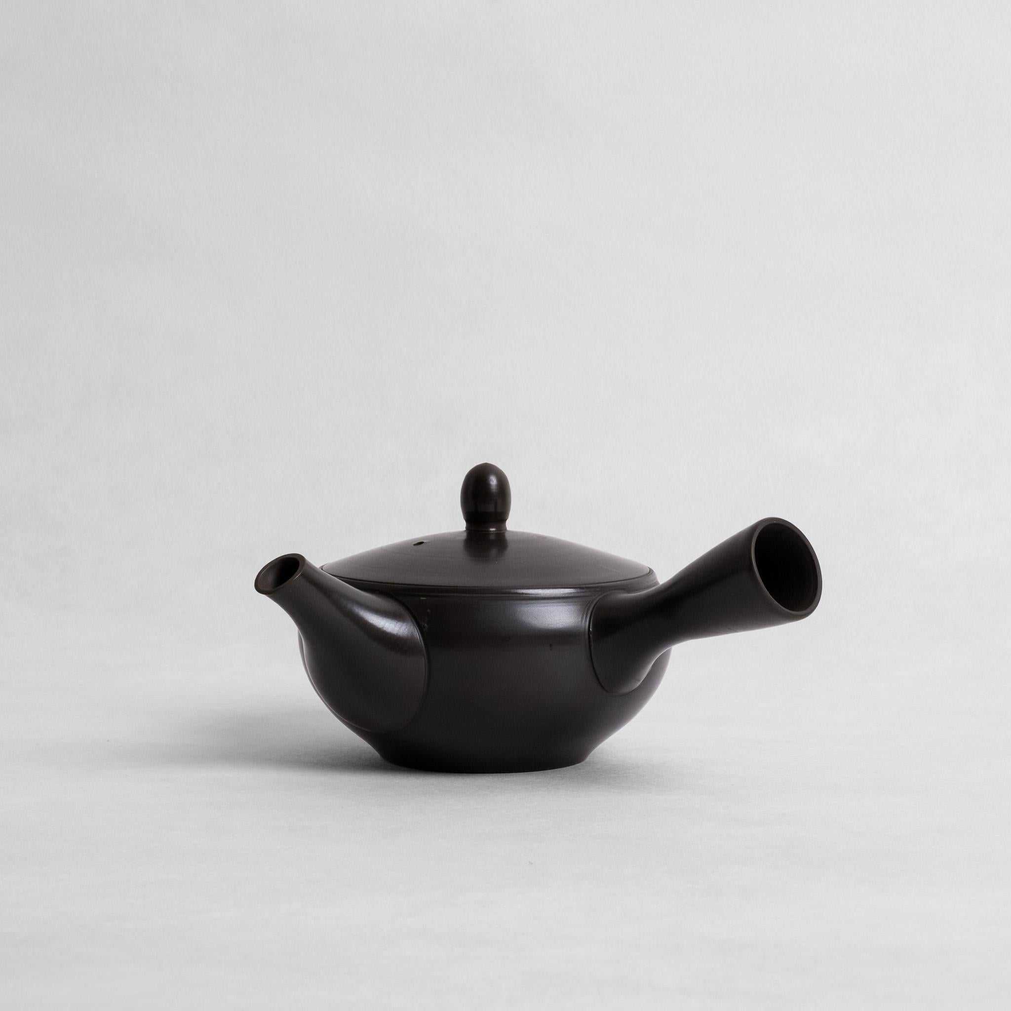 Iwase Kouji Burnished Kyusu
