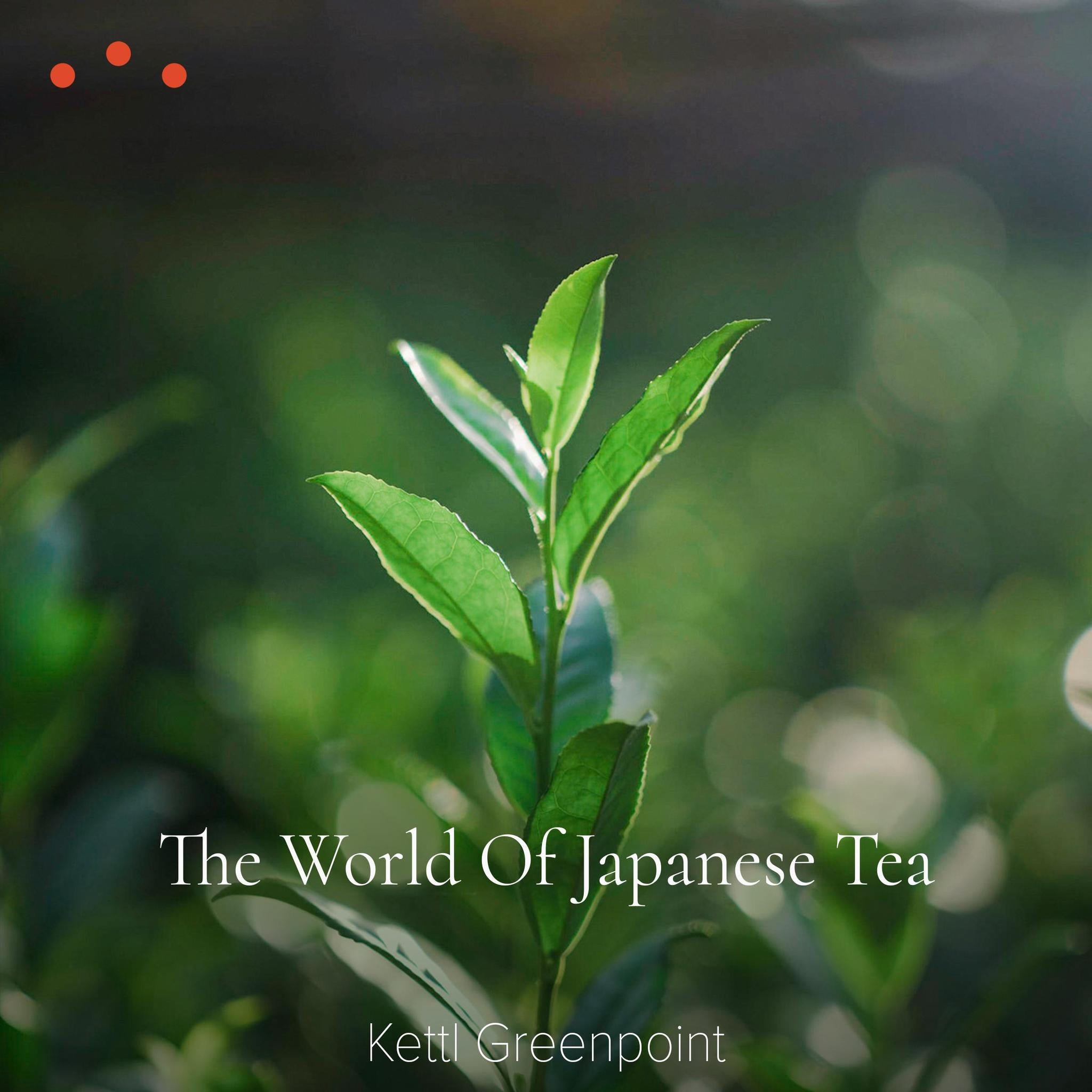 Class | The World of Japanese Tea