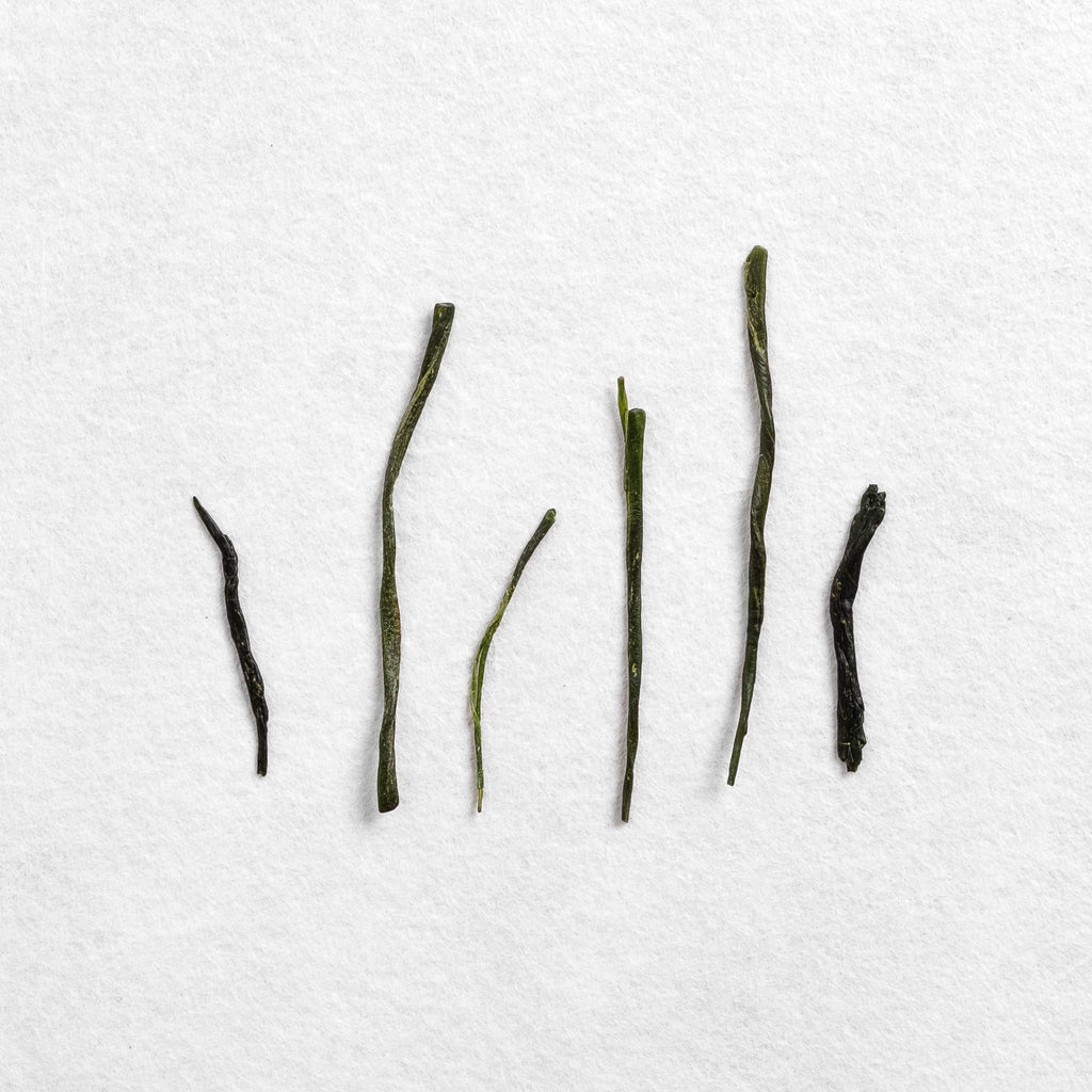 Shibushi Organic Haruto 34 Gyokuro