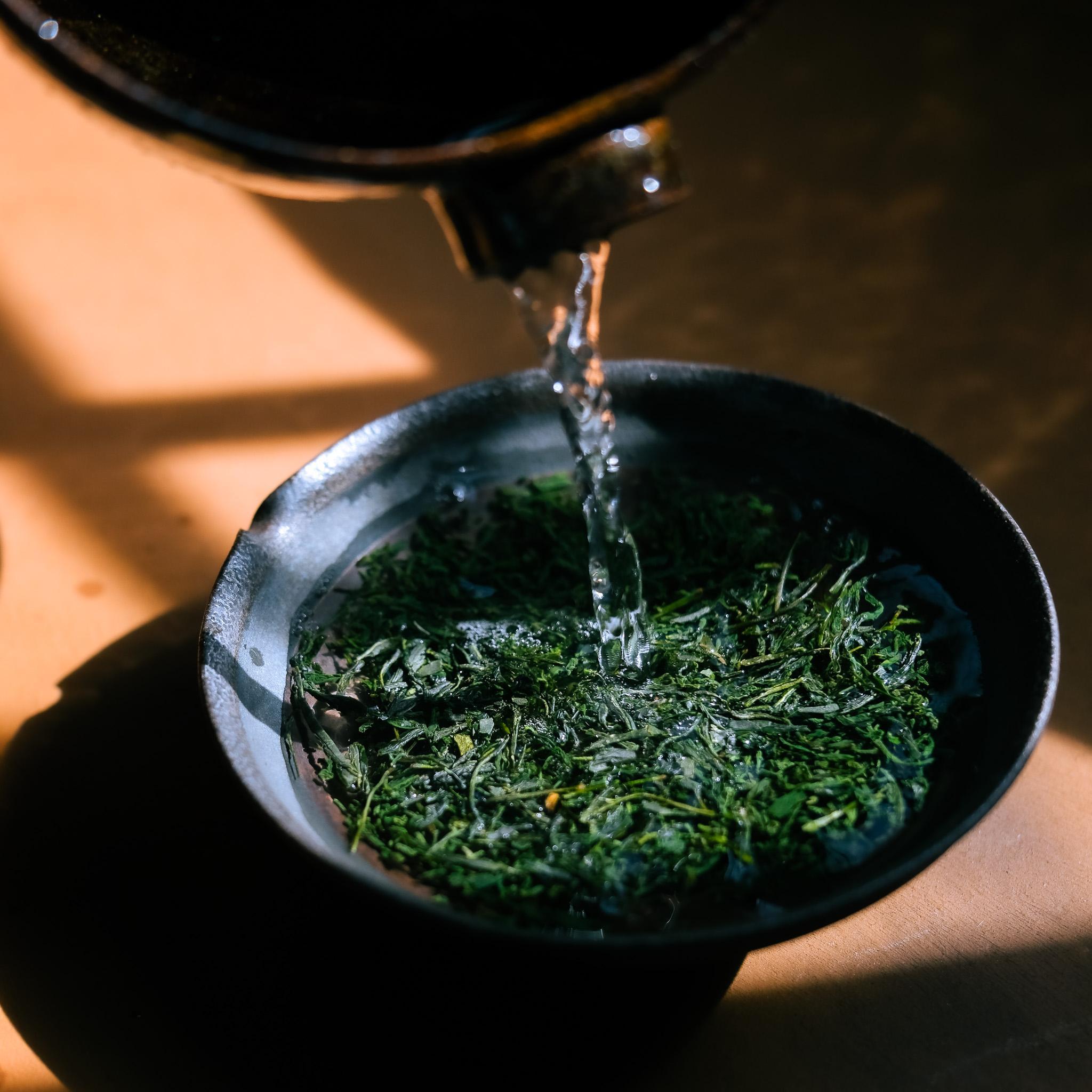 Shinki Yamashita Kyomidori Gyokuro