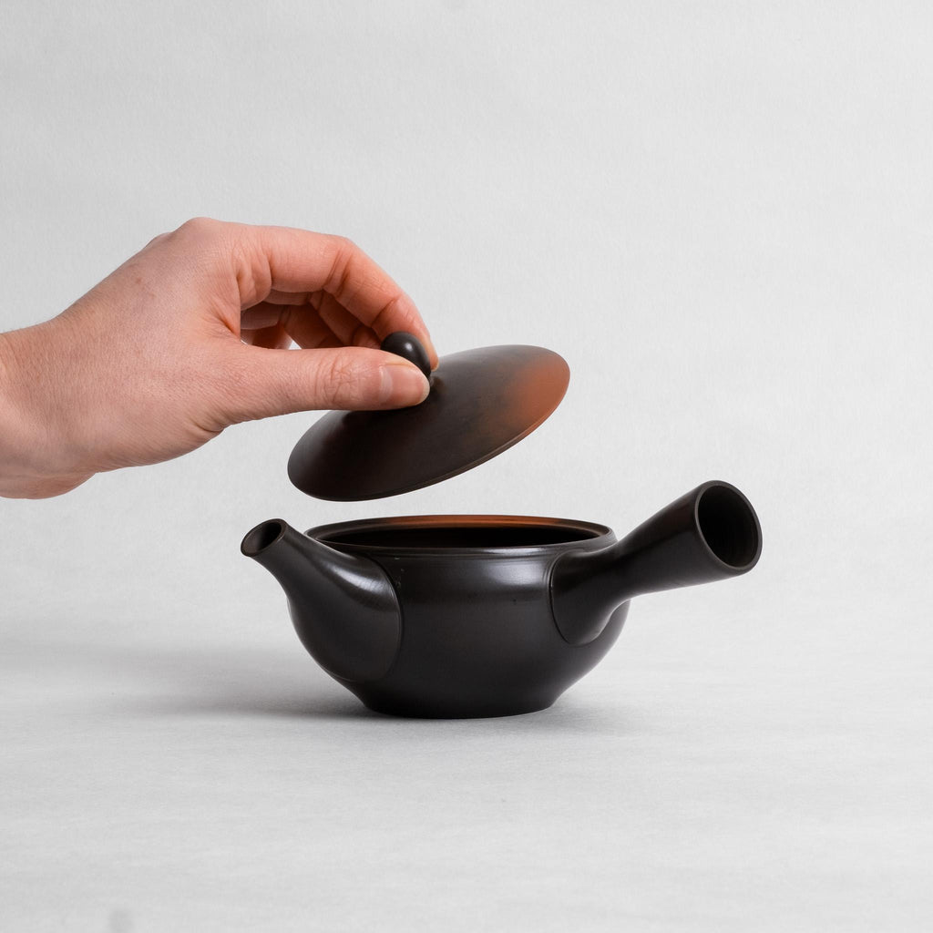 Iwase Kouji Burnished Kyusu